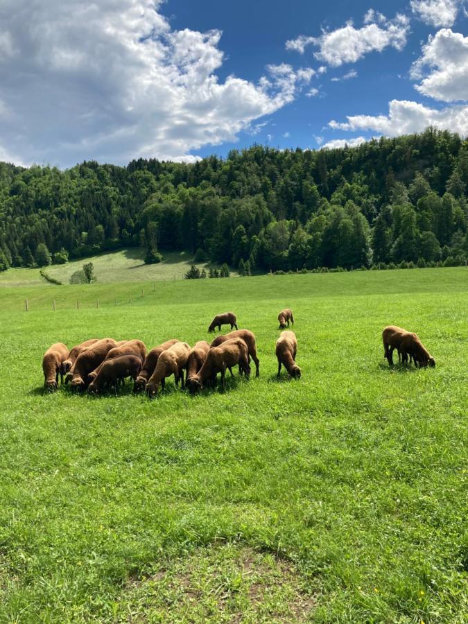 Appartamento Haus Haslach Elsbethen Esterno foto