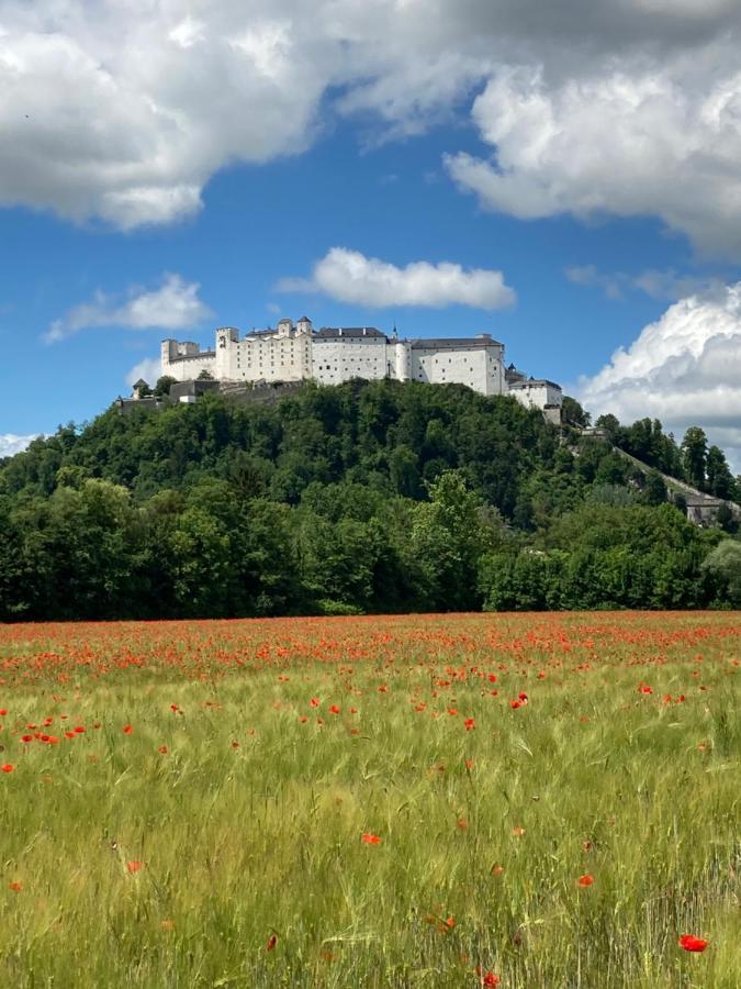 Haus Haslach Elsbethen Esterno foto