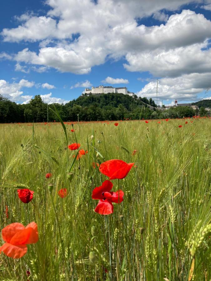 Appartamento Haus Haslach Elsbethen Esterno foto