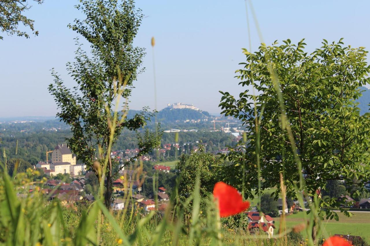 Haus Haslach Elsbethen Esterno foto