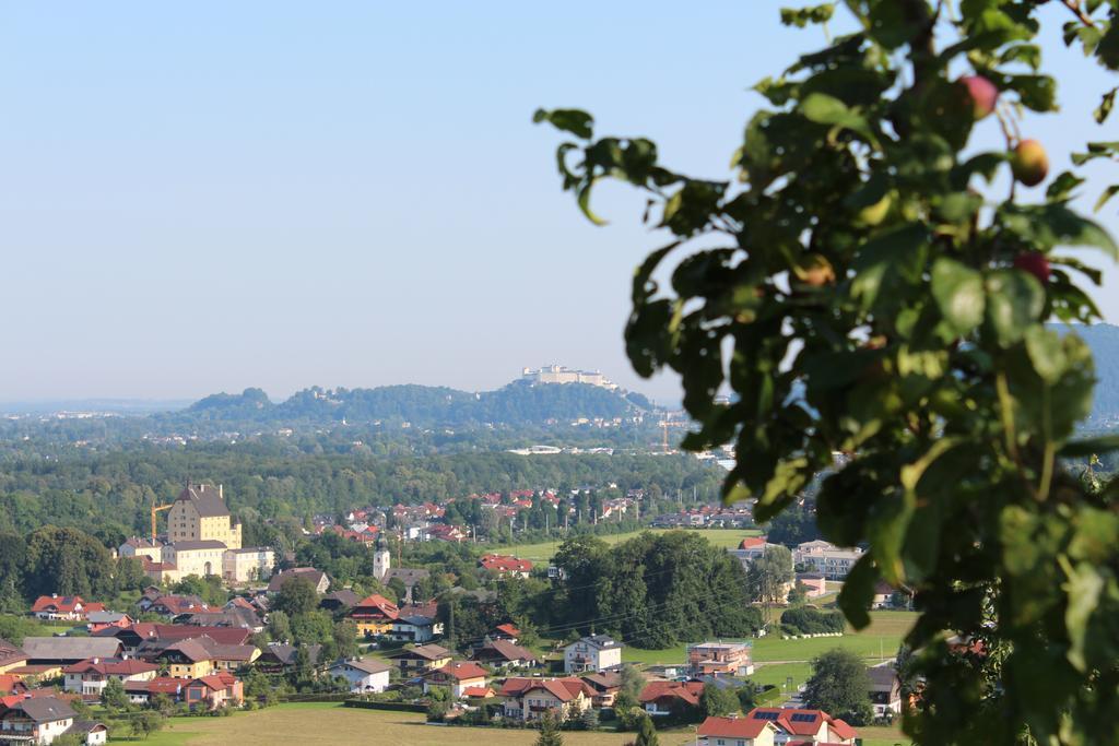 Haus Haslach Elsbethen Camera foto